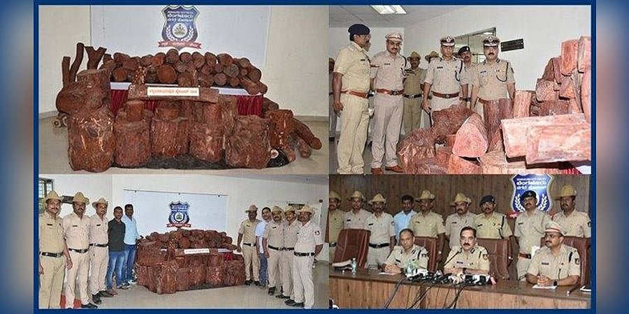 ಭರ್ಜರಿ ಬೇಟೆ: ನೀರಿನ ಸಂಪ್ ನಲ್ಲಿ ಬಚ್ಚಿಟ್ಟಿದ್ದ 2.68 ಕೋಟಿ ರೂ. ಮೌಲ್ಯದ 1693 ಕೆ.ಜಿ ರಕ್ತ ಚಂದನ ವಶಕ್ಕೆ, ಓರ್ವ ಆರೋಪಿ ಬಂಧನ