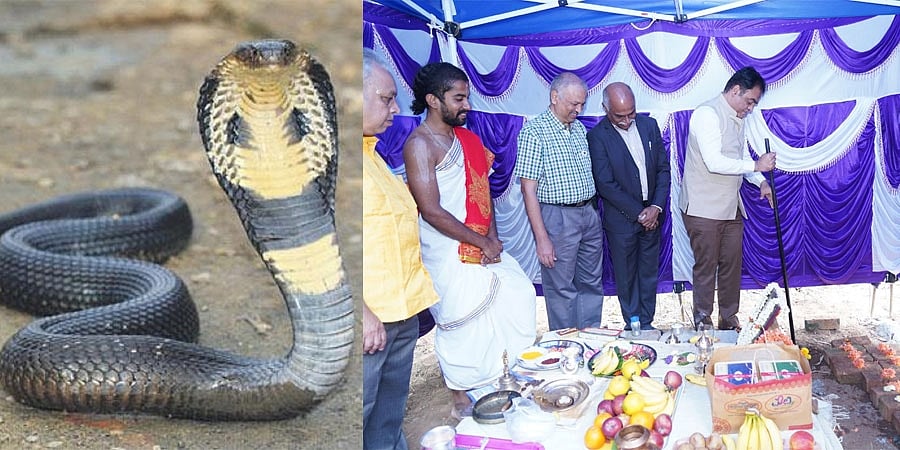 ಹಾವಿನ ಕಡಿತ: ದೇಶದಲ್ಲಿಯೇ ಪ್ರಪ್ರಥಮ ಪ್ರತಿವಿಷ ಉತ್ಪಾದನಾ ಕೇಂದ್ರಕ್ಕೆ ಸಚಿವ ಡಾ.ಸಿ.ಎನ್. ಅಶ್ವತ್ಥನಾರಾಯಣ ಚಾಲನೆ