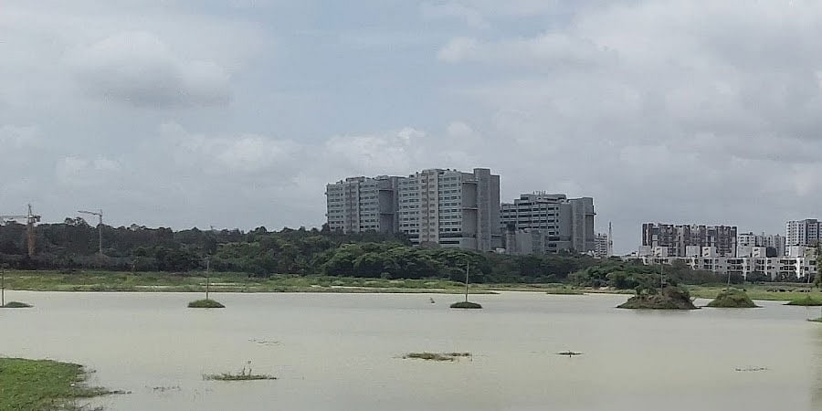 ಜಕ್ಕೂರು ಕೆರೆಗೆ ಮರು ಜೀವ ನೀಡಿದ ಅವಳಿ ಯೋಜನೆ