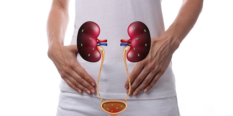 ಮೂತ್ರನಾಳದ ಸೋಂಕು ಅಥವಾ Urinary Tract Infection ಗೆ ಕಾರಣಗಳೇನು? ಮನೆ ಮದ್ದುಗಳ ಬಗ್ಗೆ ಮಾಹಿತಿ.... (ಕುಶಲವೇ ಕ್ಷೇಮವೇ)