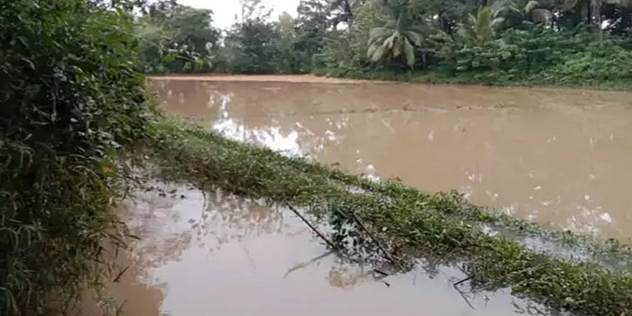 ರಾಮನಗರ: ಮಳೆ ಆರ್ಭಟಕ್ಕೆ ಆಲದ ಮರ ಉರುಳಿ ಬಿದ್ದು ವ್ಯಕ್ತಿ ಸಾವು