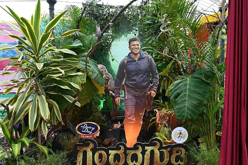 Story image