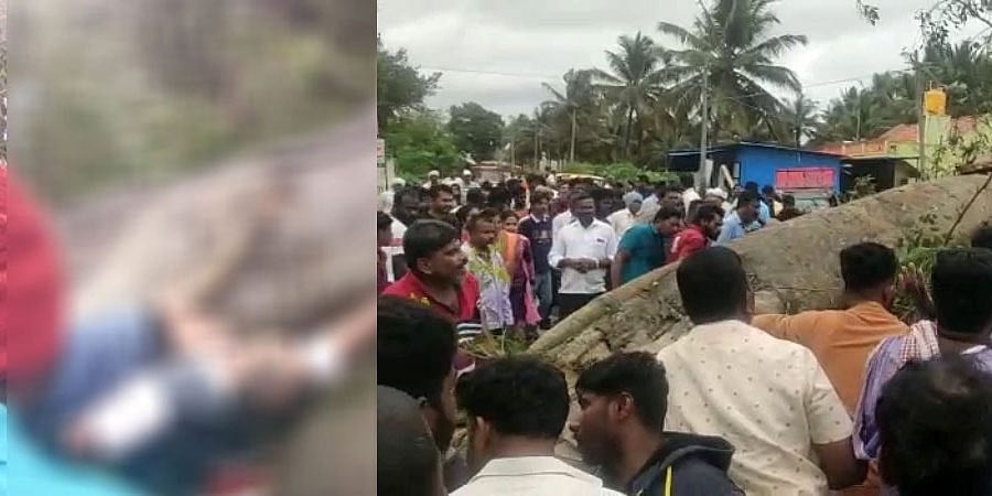 ಭೀಕರ: ಬೈಕ್ ಮೇಲೆ ಬಿದ್ದ ಬೃಹತ್ ಗಾತ್ರದ ಮರ; ನರಳಿ ಪ್ರಾಣ ಬಿಟ್ಟ ಸವಾರ!