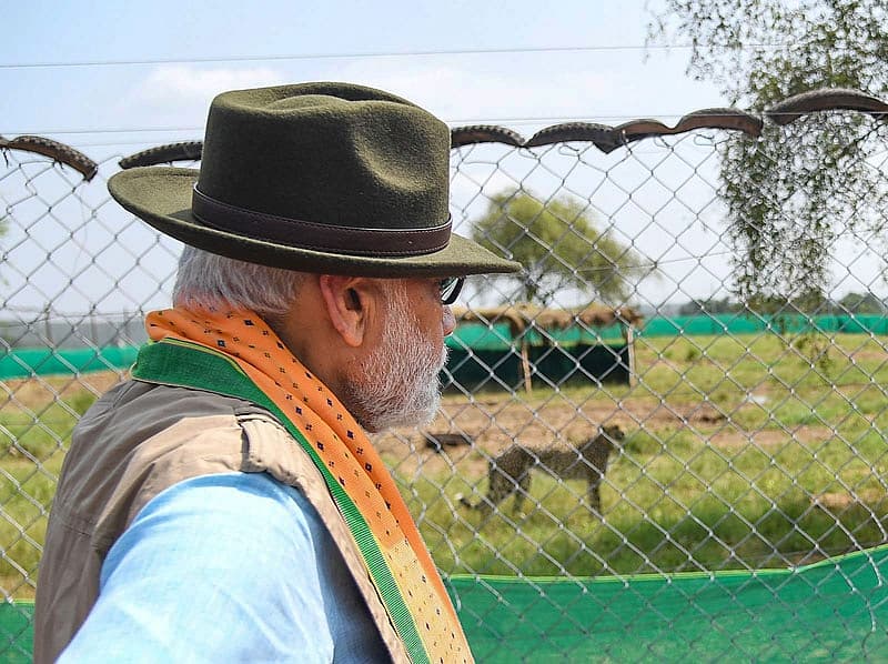 ಚೀತಾಗಳ ವೀಕ್ಷಣೆಯಲ್ಲಿ ಪ್ರಧಾನಿ ಮೋದಿ