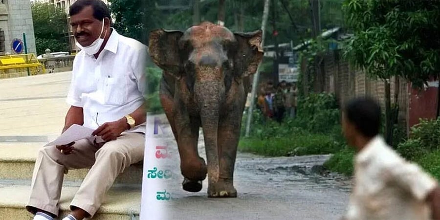 'ಪರಿಹಾರ ತಗೊಳ್ಳಿ, ಸಾಯಲು ರೆಡಿಯಾಗಿ': ಆನೆ ನಿಯಂತ್ರಣದಲ್ಲಿ ವೈಫಲ್ಯ ಕುರಿತು ಶಾಸಕ ಎಂಪಿ ಕುಮಾರಸ್ವಾಮಿ ಅಸಮಾಧಾನ