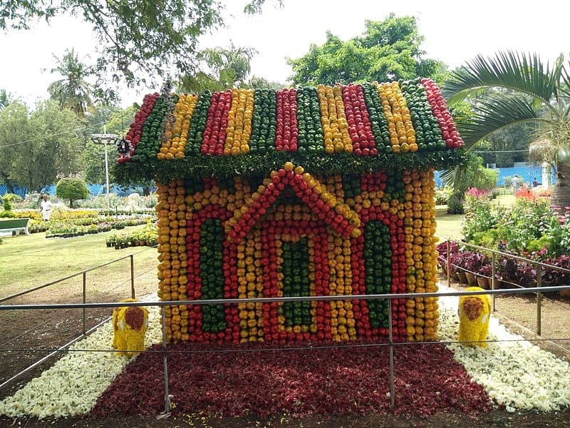ಕ್ಯಾಪ್ಸಿಕಮ್ ಮನೆಯ ಅಲಂಕಾರ