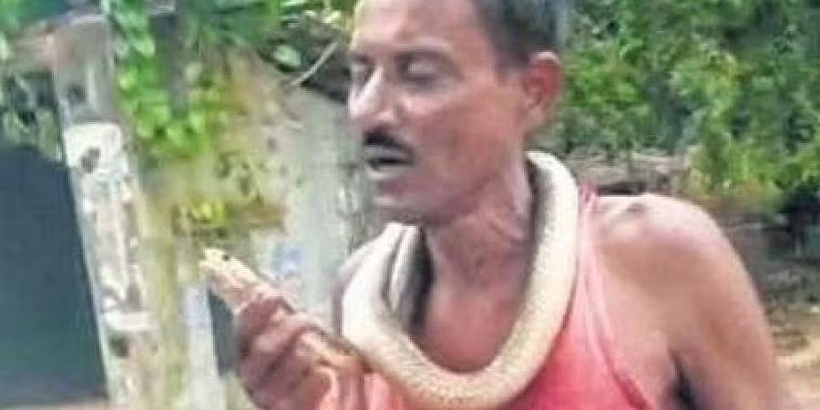 ತನಗೆ ಕಡಿದ ಹಾವನ್ನು ಕಚ್ಚಿ ಸಾಯಿಸಿದ ಒಡಿಶಾದ ವ್ಯಕ್ತಿ, ಆಸ್ಪತ್ರೆಗೆ ತೆರಳದೆ ತಾನೇ ವಿಷವನ್ನು ತೆಗೆದಿದ್ದಾಗಿ ಹೇಳಿಕೆ!