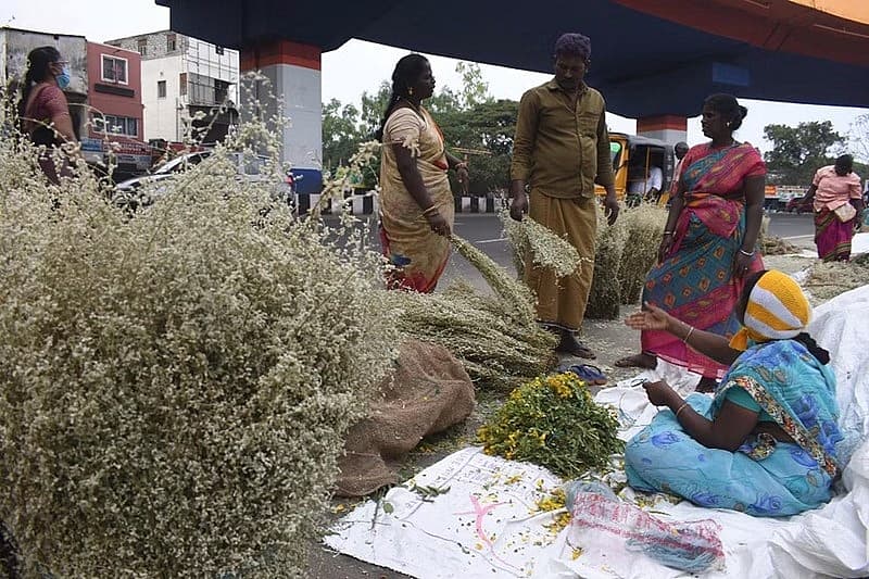 ಕೊಯಮತ್ತೂರು-ತಮಿಳು ನಾಡಿನಲ್ಲಿ ಪೊಂಗಲ್ ಹಬ್ಬಕ್ಕೆ ಮನೆಯ ಮುಂದೆ ತೋರಣಕ್ಕೆ ಬಾಗಿಲಿಗೆ ಕೂರೈ ಹೂವುಗಳನ್ನು ಹಾಕುವುದು ಸಾಮಾನ್ಯ. ಕೊಯಮತ್ತೂರಿನ ಸುಂಗಮ್ ಬೈಪಾಸ್ ನಲ್ಲಿ ನಿನ್ನೆ ಮಾರಾಟ ಮಾಡುತ್ತಿದ್ದ ಹೂವು.
