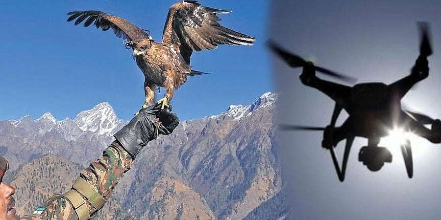 ಶ್ವಾನಗಳಿಂದ ಹದ್ದುಗಳವರೆಗೆ: ಶತ್ರುಪಾಳಯದ ಡ್ರೋನ್ ಗಳ ನಿಯಂತ್ರಣಕ್ಕೆ ಭಾರತೀಯ ಸೇನೆ ತಂತ್ರಗಾರಿಕೆ ಹೇಗೆ?