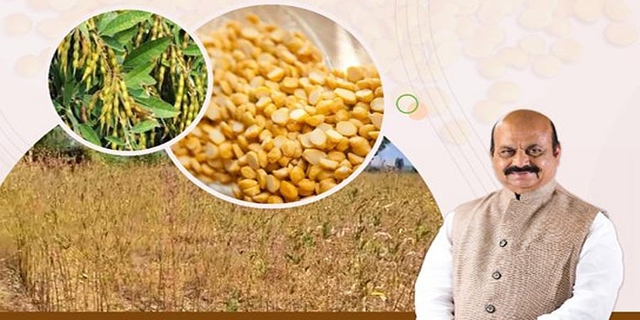 ತೊಗರಿ ಬೆಳೆ ಹಾನಿ: ಗರಿಷ್ಠ 2 ಹೆಕ್ಟೇರ್ ಗೆ 10,000 ರೂ. ಪರಿಹಾರ- ಸಿಎಂ ಬೊಮ್ಮಾಯಿ ಘೋಷಣೆ