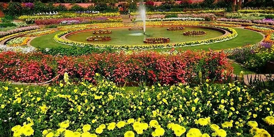 ಈಗ ದೆಹಲಿ ವಿವಿಯ ಮೊಘಲ್ ಗಾರ್ಡನ್‌ಗೆ ಬುದ್ಧನ ಹೆಸರು