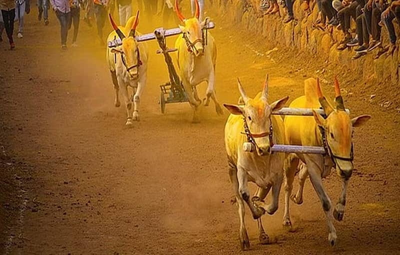 ಮಂಡ್ಯದಲ್ಲಿ ಎತ್ತಿನಗಾಡಿ ಓಟದ ಸ್ಪರ್ಧೆ ವೇಳೆ ದುರಂತ: ಚಕ್ರ ಹರಿದು ರೈತ ಸಾವು, ಬಾಲಕನ ಸ್ಥಿತಿ ಗಂಭೀರ