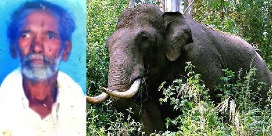 ಕಾಡಾನೆ ದಾಳಿಗೆ ರೈತ ಸಾವು; ಅರಣ್ಯ ಇಲಾಖೆ ಅಧಿಕಾರಿಗಳ ವಿರುದ್ಧ ಗ್ರಾಮಸ್ಥರ ಆಕ್ರೋಶ