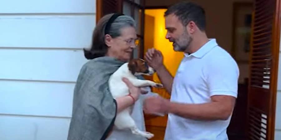 ಮನೆಗೆ ಹೊಸ ಅತಿಥಿ ಕರೆತಂದು ತಾಯಿಗೆ ಸಪ್ರೈಸ್ ಕೊಟ್ಟ ರಾಹುಲ್ ಗಾಂಧಿ