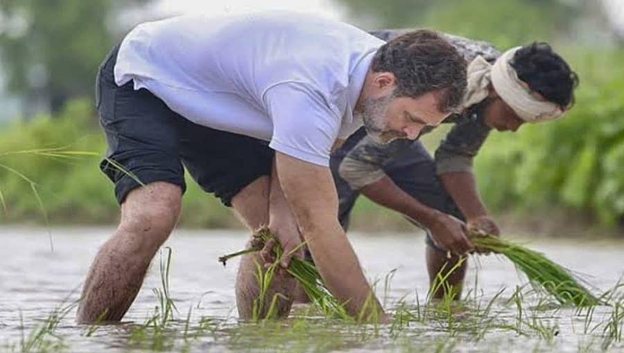 'ಹಾಗಿದ್ರೆ, ಮಣಿಪುರಕ್ಕೆ ರಾಹುಲ್ ಗಾಂಧಿ ಹೋಗಿದ್ದು ಭತ್ತ ನಾಟಿ ಮಾಡುವುದಕ್ಕಾ? '