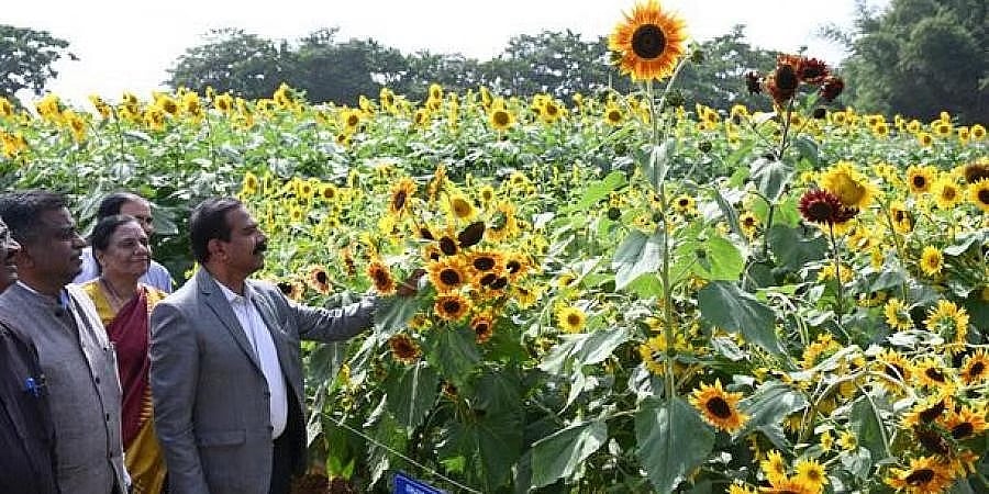 ಬೆಂಗಳೂರು: ನಾಳೆಯಿಂದ 4 ದಿನಗಳ ಕೃಷಿ ಮೇಳ ಆರಂಭ