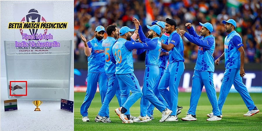 ICC Cricket World Cup 2023: ಭಾರತದ ಮುಡಿಗೆ 2023 ಐಸಿಸಿ ಕ್ರಿಕೆಟ್ ವಿಶ್ವಕಪ್: ಬೆಟ್ಟಾ ಮೀನಿನ ಭವಿಷ್ಯ!