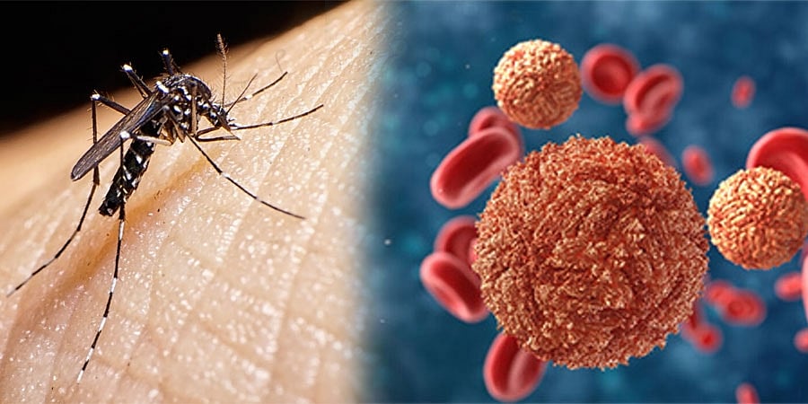 Zika Virus Found in Karnataka: ಚಿಕ್ಕಬಳ್ಳಾಪುರದಲ್ಲಿ ಮಾರಕ ಜಿಕಾ ವೈರಸ್ ಪತ್ತೆ; ರಾಜ್ಯಾದ್ಯಂತ ಆರೋಗ್ಯ ಇಲಾಖೆ ಹೈ ಅಲರ್ಟ್