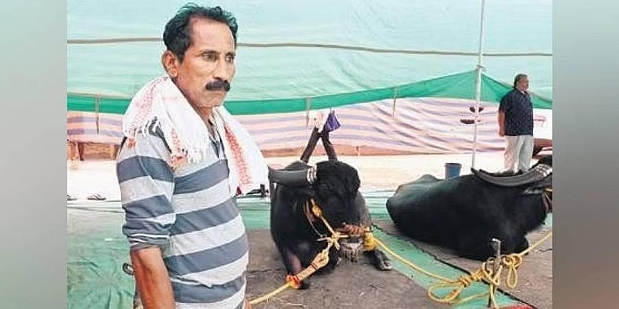 ಬೆಂಗಳೂರು ಕಂಬಳ: ಎಲ್ಲರ ಗಮನ ಸೆಳೆಯುತ್ತಿದ್ದಾರೆ 54 ವರ್ಷದ 'ಜಾಕಿ' ಗಂಗಯ್ಯ ಪೂಜಾರಿ!