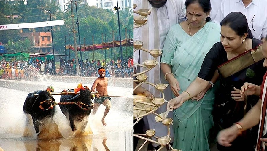 ಐತಿಹಾಸಿಕ ಬೆಂಗಳೂರು ಕಂಬಳಕ್ಕೆ ಅಧಿಕೃತ ಚಾಲನೆ: ಜೋಡು ಕೆರೆ ಉದ್ಘಾಟಿಸಿದ ಅಶ್ವಿನಿ ಪುನೀತ್ ರಾಜ್ ಕುಮಾರ್