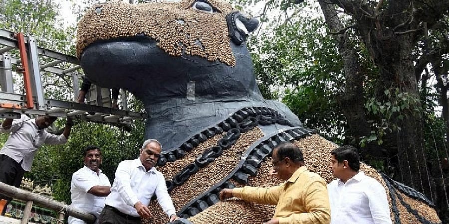 ಕಂಬಳ ಯಶಸ್ಸು ಬಳಿಕ ಕಡಲೆಕಾಯಿ ಪರಿಷೆಗೆ ಬೆಂಗಳೂರು ಸಜ್ಜು!