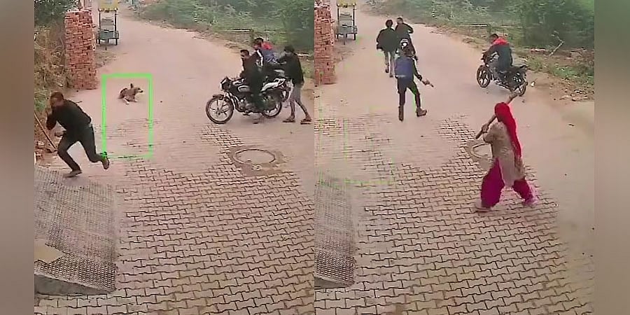 ಗುಂಡು ಹಾರಿಸಿ ಕೊಲ್ಲಲು ಬಂದವರಿಗೆ 'ಪೊರಕೆ ಪೂಜೆ': ರೌಡಿಗಳನ್ನು ಓಡಿಸಿದ ಮಹಿಳೆಯ ವಿಡಿಯೋ ವೈರಲ್
