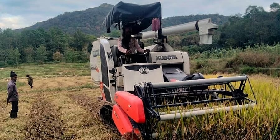 ದೇಶದಲ್ಲಿ ಅಕ್ಕಿ ಉತ್ಪಾದನೆ ಕುಸಿತ: ರಾಜ್ಯದ ಅನ್ನ ಭಾಗ್ಯ ಯೋಜನೆಗೆ ಹಿನ್ನಡೆ ಸಾಧ್ಯತೆ!