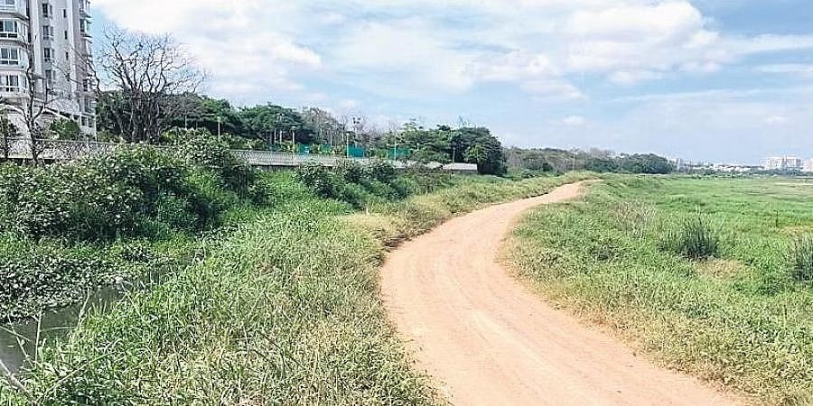 ಬೆಳ್ಳಂದೂರು ಕೆರೆ ಬಳಿ ಯಾವುದೇ ರಸ್ತೆ ನಿರ್ಮಿಸಿಲ್ಲ: ಎನ್ಜಿಟಿಗೆ ಬಿಡಿಎ ಮಾಹಿತಿ