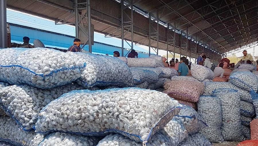 Garlic Price: ಈರುಳ್ಳಿ ನಂತರ ಈಗ ಬೆಳ್ಳುಳ್ಳಿ ಬೆಲೆಯಲ್ಲಿ ಏರಿಕೆ: ಪ್ರತಿ ಕೆಜಿ 400 ರೂ. ಗೆ ಏರಿಕೆ