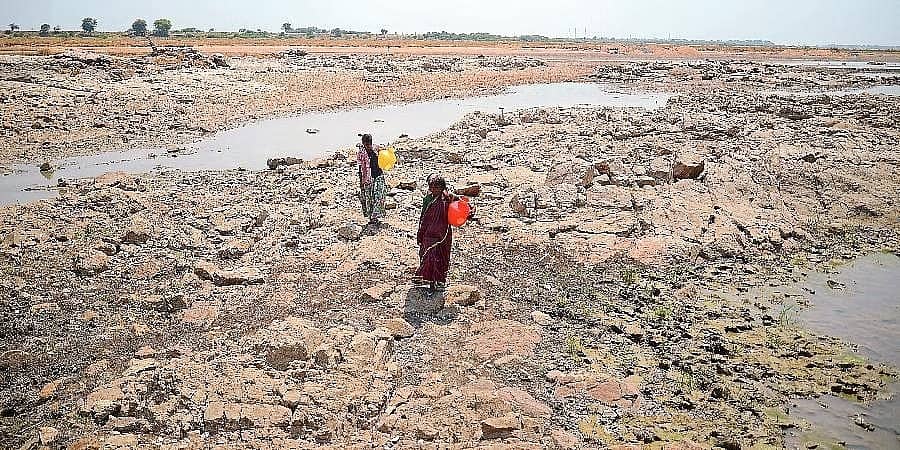 ಹಿನ್ನೋಟ 2023: ಕರ್ನಾಟಕದಲ್ಲಿ ‘ಹಸಿರು ಬರ’; ರೈತರು, ಜನರಿಗೆ ಸಂಕಷ್ಟ!