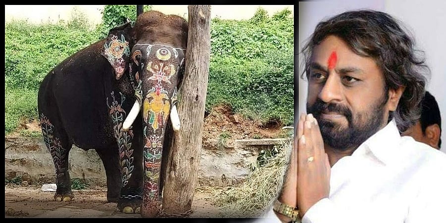 ಅರ್ಜುನ ಆನೆ ಸ್ಮರಣಾರ್ಥ ಹಾಸನ, ಮೈಸೂರಿನಲ್ಲಿ ಸ್ಮಾರಕ ನಿರ್ಮಾಣ: ಸಚಿವ ಈಶ್ವರ್ ಖಂಡ್ರೆ
