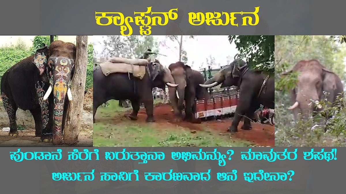 ಪುಂಡಾನೆ ಸೆರೆಗೆ ಬರುತ್ತಾನಾ ಅಭಿಮನ್ಯು? ಮಾವುತರ ಶಪಥ! ಅರ್ಜುನ ಸಾವಿಗೆ ಕಾರಣವಾದ ಆನೆ ಇದೇನಾ?