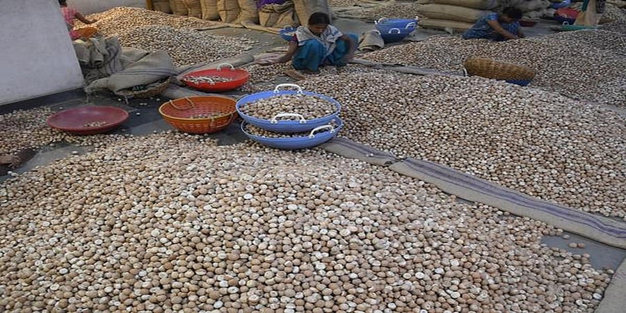 ಅಡಿಕೆ ಆಮದು ಗಣನೀಯ ಹೆಚ್ಚಳ: ರೈತರ ಹಿತಾಸಕ್ತಿ ಕಾಪಾಡಿ; ಡಬಲ್ ಎಂಜಿನ್ ಸರ್ಕಾರಕ್ಕೆ ಜೆಡಿಎಸ್ ಒತ್ತಾಯ