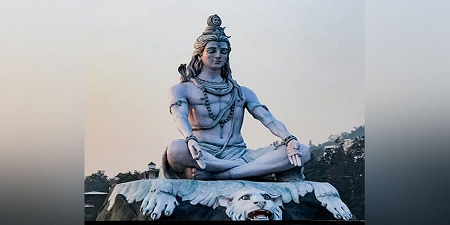 ಮಹಾಶಿವರಾತ್ರಿ: ಉಪವಾಸ ವೇಳೆ ಏನು ಮಾಡಬೇಕು, ಏನನ್ನು ಮಾಡಬಾರದು?