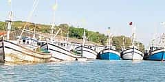 ಉತ್ತರ ಕನ್ನಡ: ಅಘನಾಶಿನಿ ನದಿ ಪ್ರದೇಶವನ್ನು ರಾಮ್ಸರ್ ಸೈಟ್ ಎಂದು ಘೋಷಿಸಲು ಸಿದ್ಧತೆ