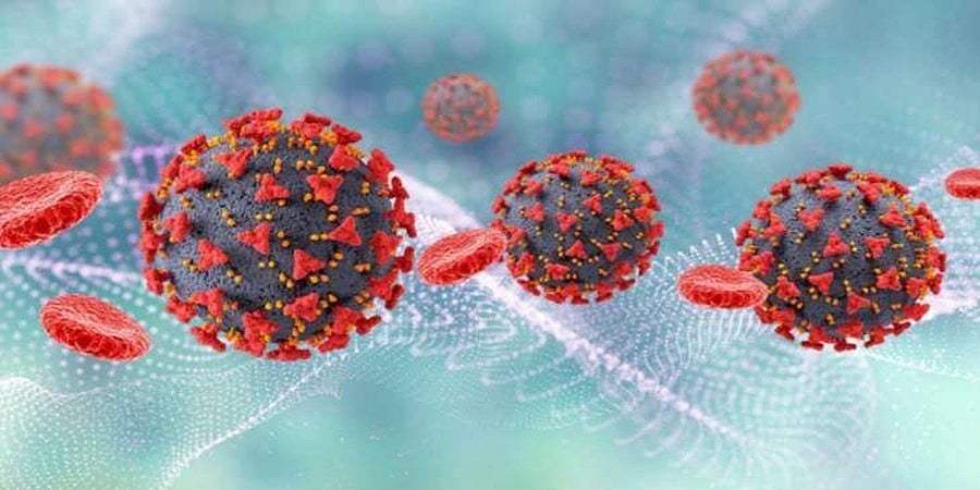 H3N2 ವೈರಸ್: ಹಾಸನ ಮೂಲದ 82 ವರ್ಷದ ವೃದ್ಧ ಸಾವು, ರಾಜ್ಯದಲ್ಲಿ ಮೊದಲ ಪ್ರಕರಣ; ಹರ್ಯಾಣದಲ್ಲಿ ಮತ್ತೋರ್ವ ವ್ಯಕ್ತಿ ಬಲಿ