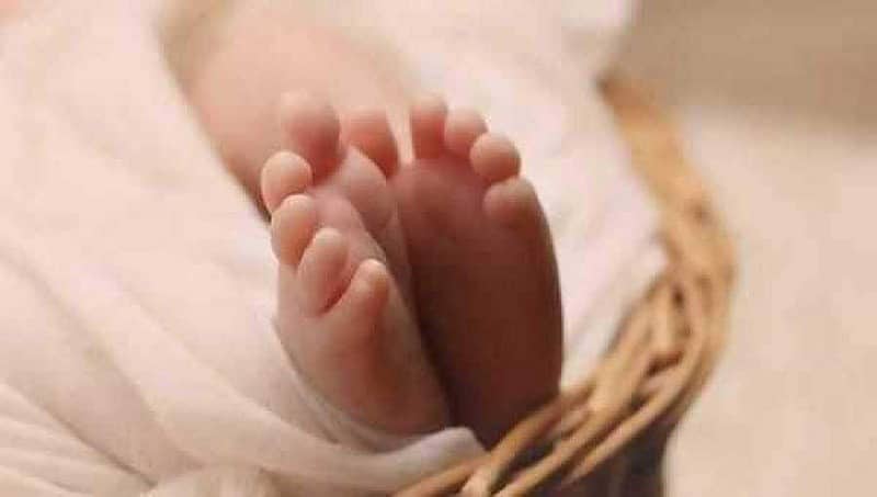 ಇಂದೋರ್: ಸರ್ಕಾರಿ ಆಸ್ಪತ್ರೆ NICU ನಲ್ಲಿ ಇಲಿ ಕಚ್ಚಿ ನವಜಾತ ಶಿಶು ಸಾವು; ಇಬ್ಬರು ನರ್ಸ್ಗಳು ಅಮಾನತು