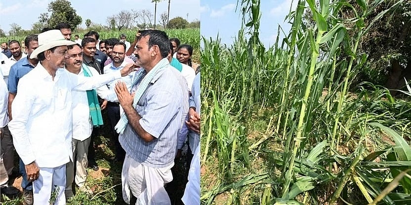 ಮಳೆಯಿಂದ ಬೆಳೆ ನಷ್ಟ: ಎಕರೆಗೆ 10,000 ರೂ. ಪರಿಹಾರ ಘೋಷಿಸಿದ ತೆಲಂಗಾಣ ಸಿಎಂ