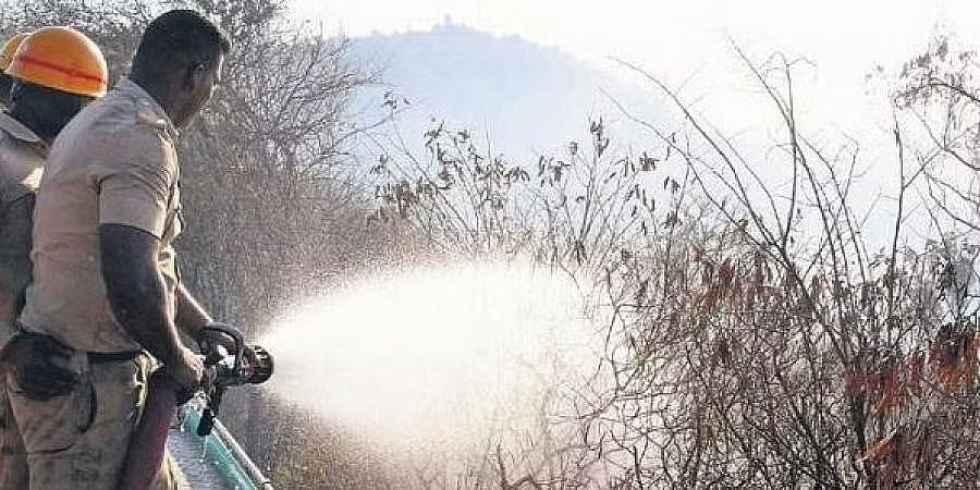ಮೈಸೂರು: ಚಾಮುಂಡಿ ಬೆಟ್ಟದ ಕುರುಚಲು ಪ್ರದೇಶದಲ್ಲಿ ಅಗ್ನಿ ಅವಘಡ