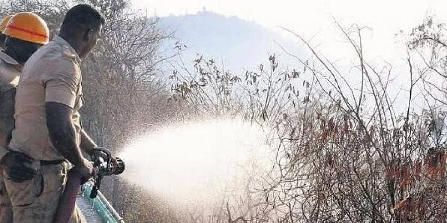 ಮೈಸೂರು: ಚಾಮುಂಡಿ ಬೆಟ್ಟದ ಕುರುಚಲು ಪ್ರದೇಶದಲ್ಲಿ ಅಗ್ನಿ ಅವಘಡ