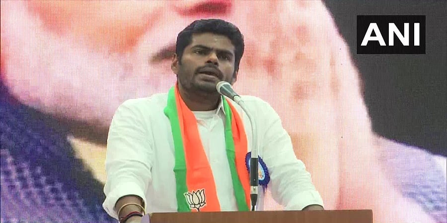 27 ಡಿಎಂಕೆ ನಾಯಕರು 2 ಲಕ್ಷ ಕೋಟಿ ರೂ.ಗೂ ಅಧಿಕ ಮೊತ್ತದ ಆಸ್ತಿ ಹೊಂದಿದ್ದಾರೆ: ಅಣ್ಣಾಮಲೈ