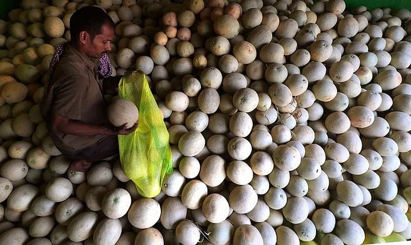 ತಮಿಳುನಾಡಿನ ಮಧುರೈನ ಮಾರುಕಟ್ಟೆಗೆ ಬಂದ ಸೀಬೆಹಣ್ಣುಗಳನ್ನು ಆಯುತ್ತಿರುವ ವ್ಯಾಪಾರಿ