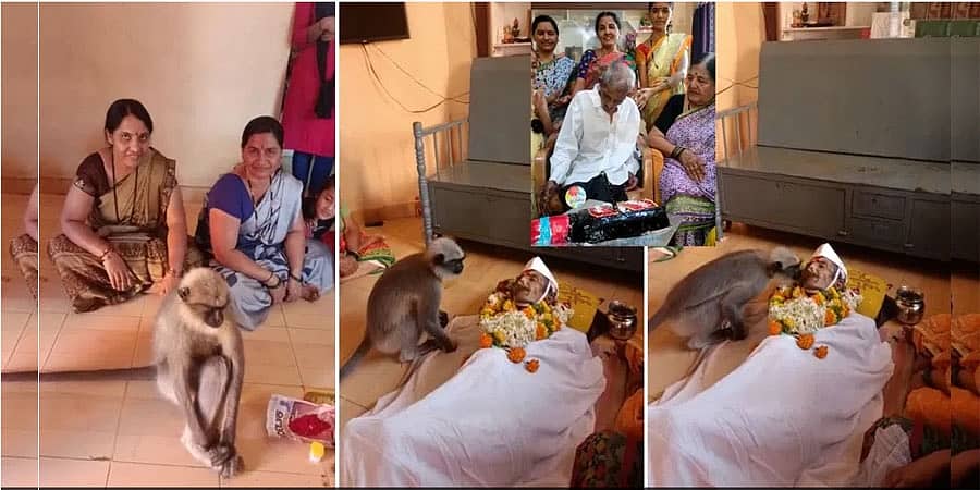 ಅನ್ನ ಕೊಟ್ಟ ಧಣಿ ಸತ್ತಾಗ ಮುತ್ತು ಕೊಟ್ಟು ಅಂತಿಮ ನಮನ ಸಲ್ಲಿಸಿದ ಮಂಗ