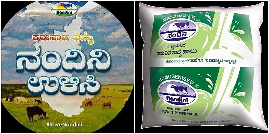 ಕೆಎಂಎಫ್-ಅಮುಲ್ ವಿಲೀನವಿಲ್ಲ, ವದಂತಿಗಳಿಗೆ ಕಿವಿಗೊಡಬೇಡಿ: KMF MD ಬಿ.ಸಿ ಸತೀಶ್