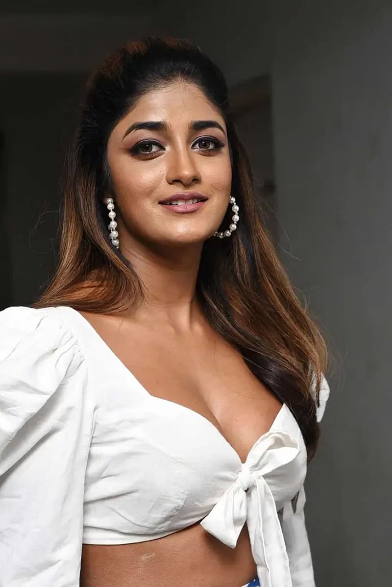 ಡಿಸಿಪಿ ಹೆಗಡೆ ಅವರು ಜುಬಿಲಿ ಹಿಲ್ಸ್ ಜರ್ನಲಿಸ್ಟ್ ಕಾಲೋನಿಯ ಹುಡಾ ಎನ್ಕ್ಲೇವ್ನಲ್ಲಿ ತಂಗಿದ್ದಾರೆ. ಡಿಂಪಲ್ ಹಯಾತಿ ಮತ್ತು ಡೇವಿಡ್ ಕೂಡ ಅದೇ ಅಪಾರ್ಟ್ಮೆಂಟ್ನಲ್ಲಿ ವಾಸಿಸುತ್ತಿದ್ದಾರೆ.