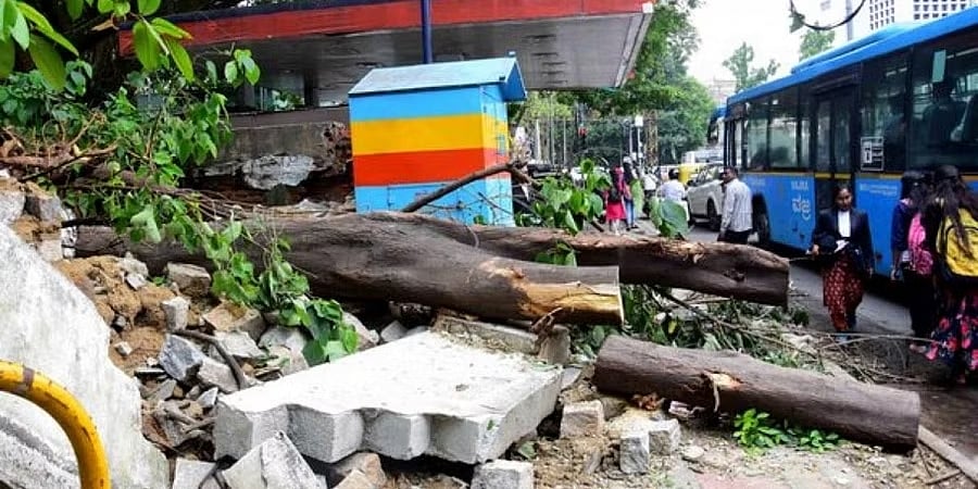 ಭಾರಿ ಮಳೆಗೆ ಬೆಂಗಳೂರಿನಲ್ಲಿ ಸರಣಿ ಅವಘಡ; ನೂರಾರು ಮರಗಳು ಧರೆಗೆ, ಮನೆಗಳು ಜಲಾವೃತ, ವಿದ್ಯುತ್ ಕಡಿತ