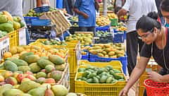ಬೆಂಗಳೂರು: Cubbon Park, Lal Baghನಲ್ಲಿ ಈ ಬಾರಿ ಮಾವು-ಹಲಸು ಮೇಳ; ಯಾವಾಗ? ಇಲ್ಲಿದೆ ಮಾಹಿತಿ..