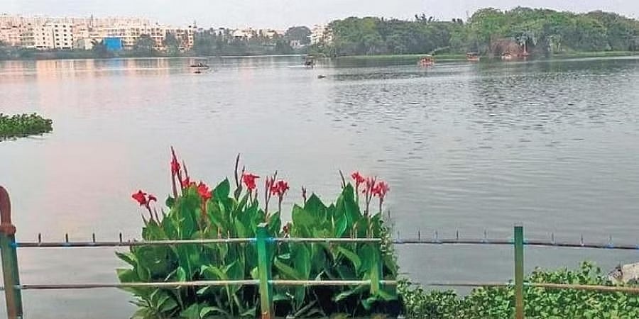 ಮೀನುಗಳು ಮಾರಣಹೋಮ; ಆದರೂ ನಿಂತಿಲ್ಲ ಮಡಿವಾಳ ಕೆರೆಗೆ ಹರಿದು ಬರುತ್ತಿರುವ ಕೊಳಚೆ ನೀರು!
