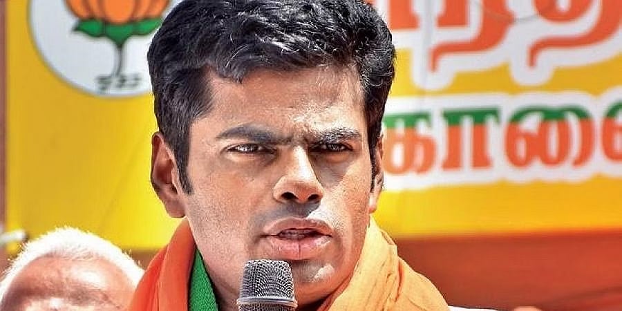 ರಾಜಕೀಯಕ್ಕೆ ಬರುವುದಕ್ಕೂ ಮುನ್ನ ವೃತ್ತಿಯಲ್ಲಿ ಏನಾದರೂ ಸಾಧಿಸಿ: ಅಣ್ಣಾಮಲೈ