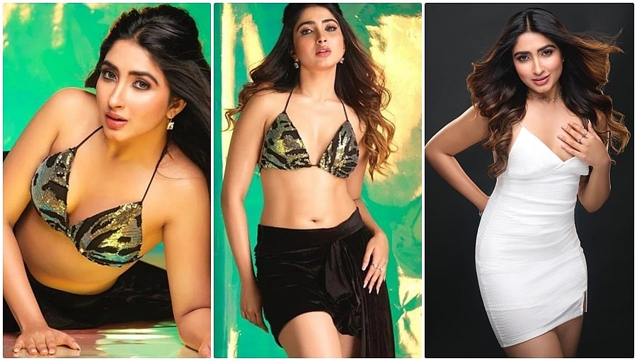 ಎಲ್ಲೆ ಮೀರುತ್ತಿದೆ: ಸಖತ್ ಬೋಲ್ಡ್ ಆಗಿ ಪೋಸ್ ಕೊಟ್ಟ ನಟಿ ಸಾನ್ಯಾ ಐಯ್ಯರ್ ವಿರುದ್ಧ ನೆಟ್ಟಿಗರು ಕಿಡಿ!